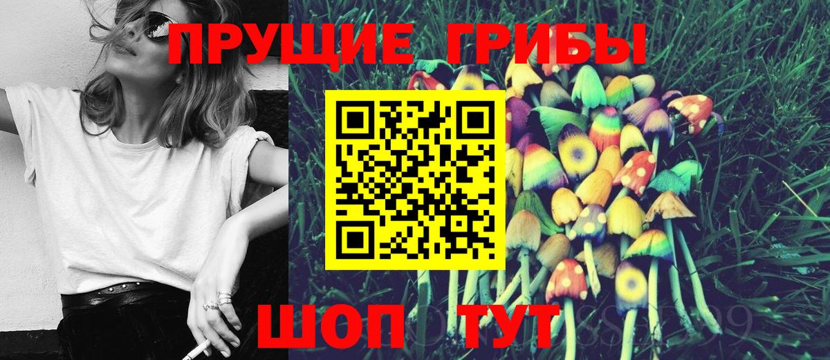 Галлюциногенные грибы Psilocybe  Вход с VPN  Галлюциногенные грибы Psilocybine cubensis  Калач-на-Дону 